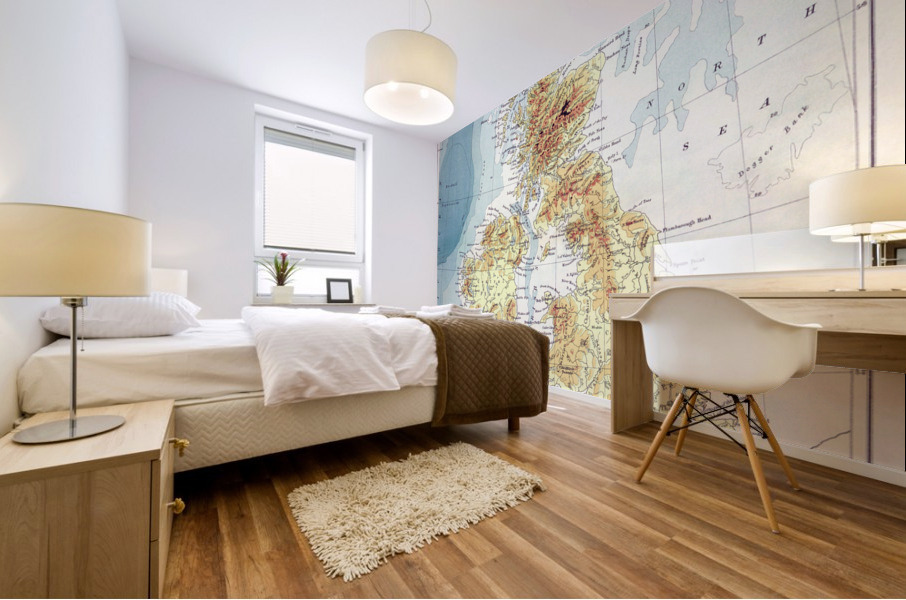 Vintage Maps  8 Mural print