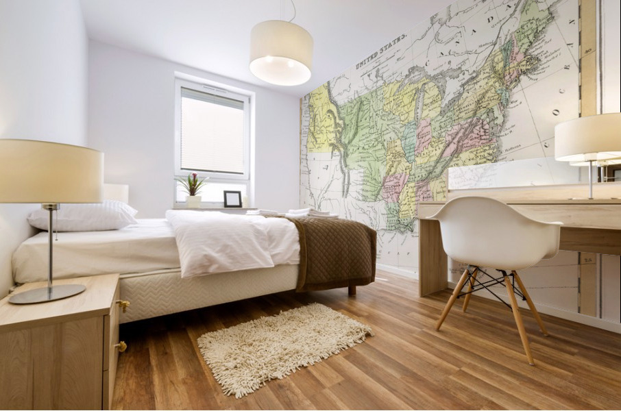 Vintage Maps  22 Mural print