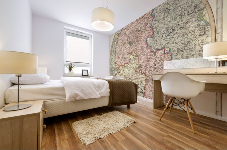 Vintage Maps  41 Mural print