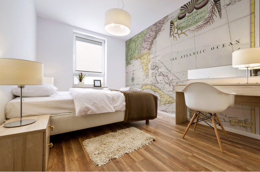 Vintage Maps  2 Mural print