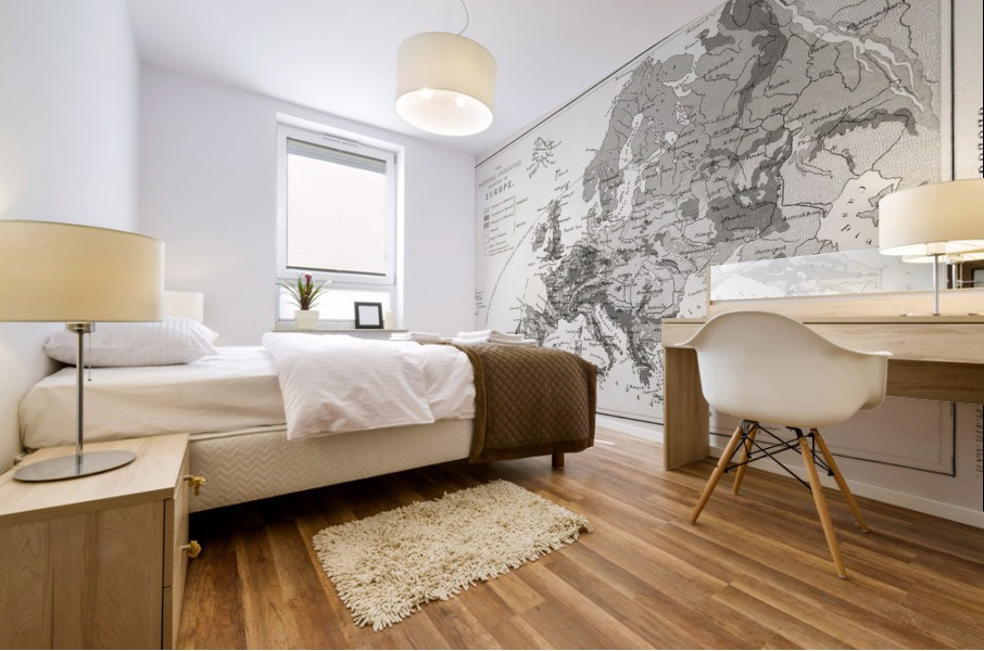 Vintage Maps  1 Mural print