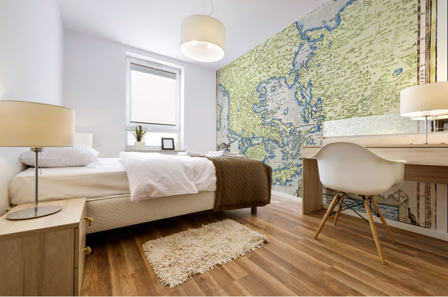 Vintage Maps  71 Mural print