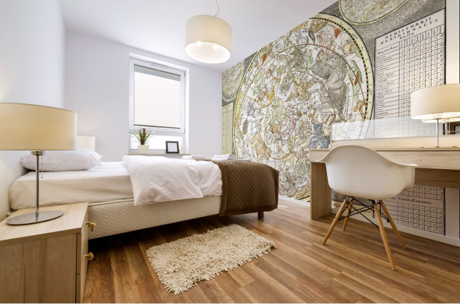 Vintage Maps  59 Mural print