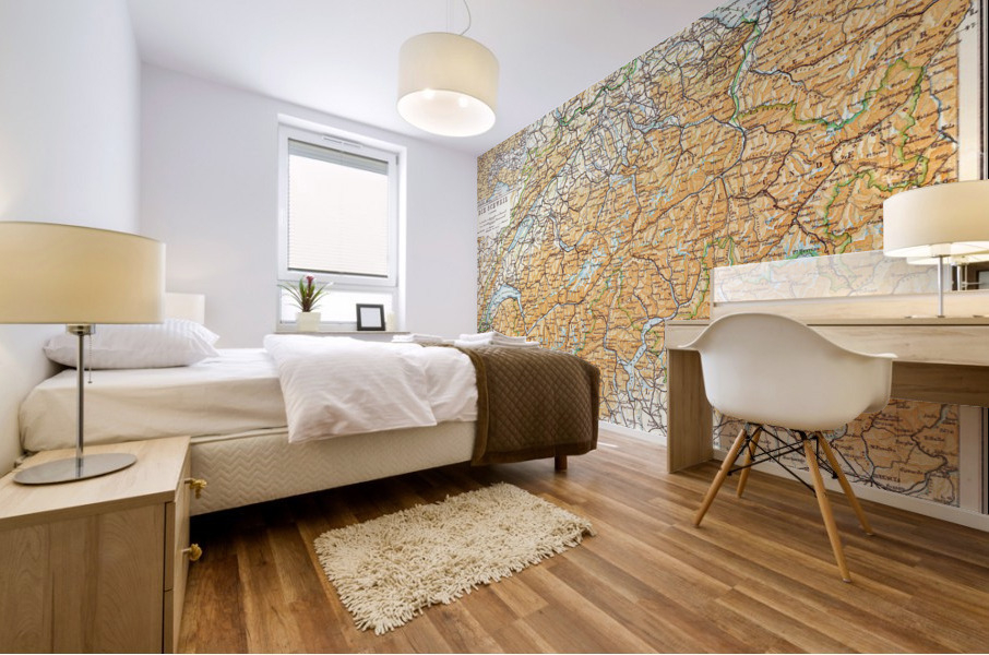 Vintage Maps  102 Mural print