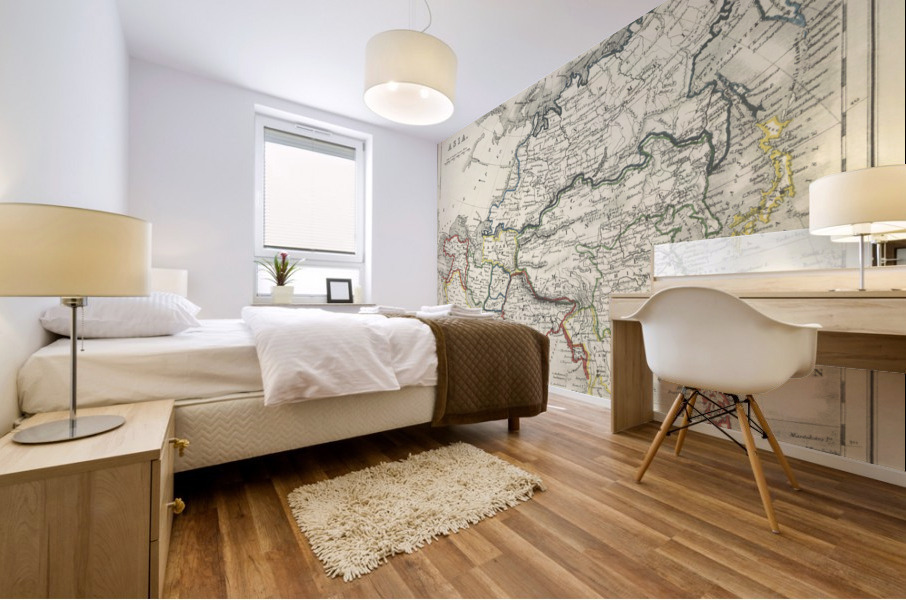 Vintage Maps  51 Mural print