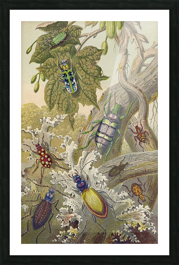  Fine Art print