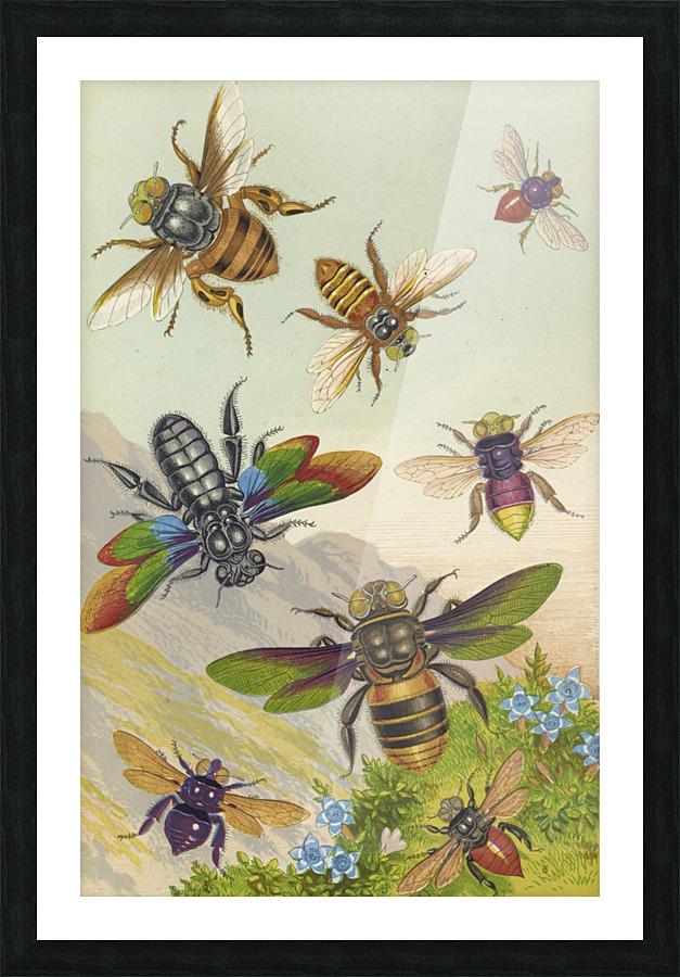  Fine Art print