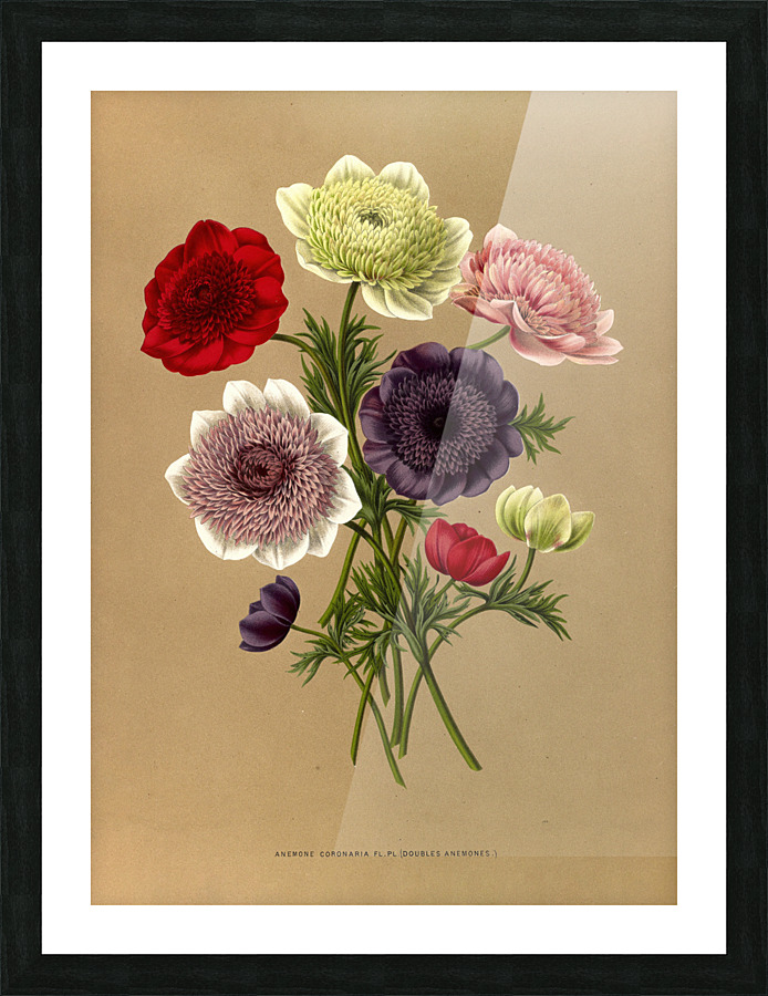  Fine Art print