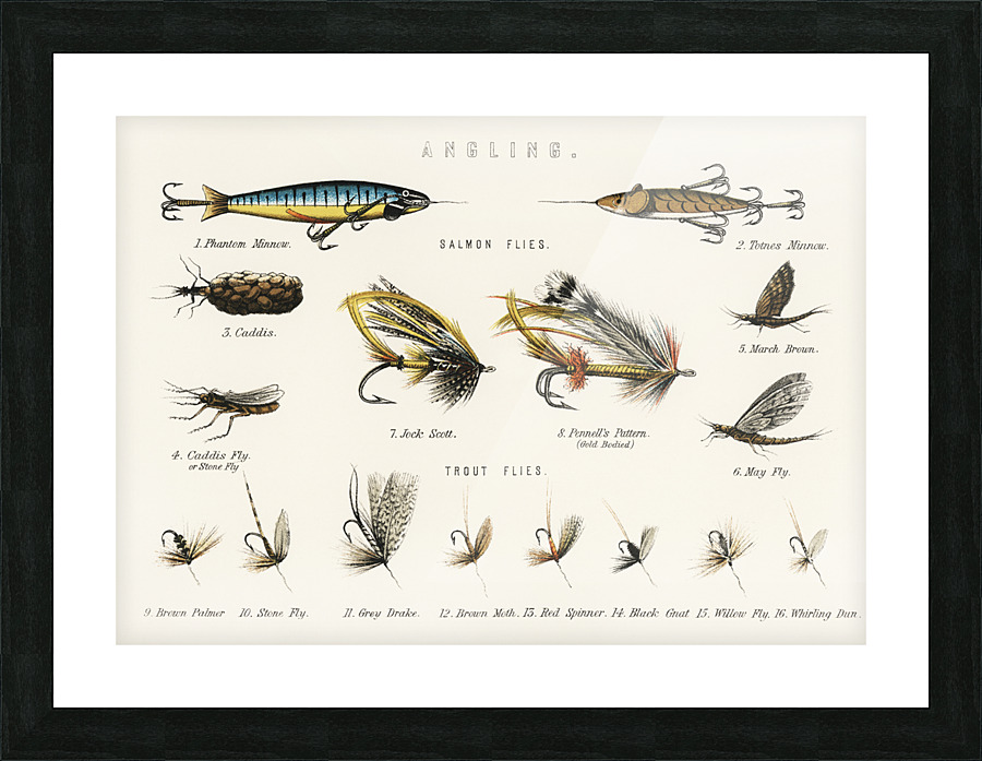  Fine Art print