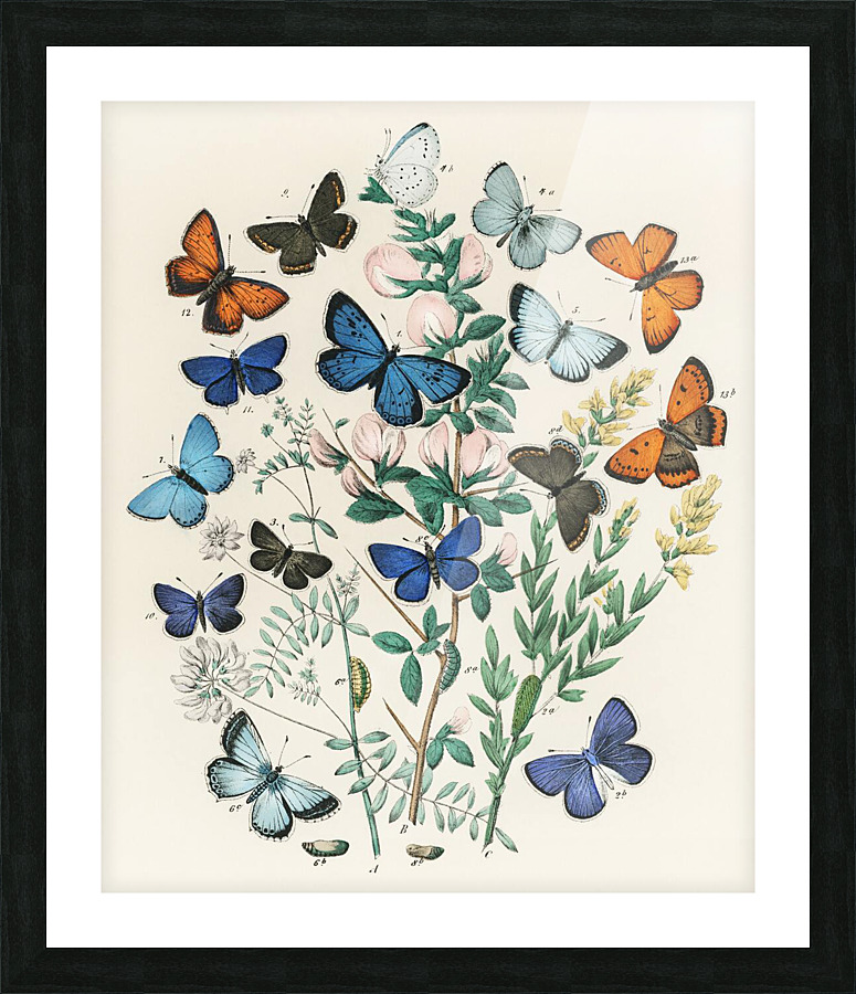  Fine Art print