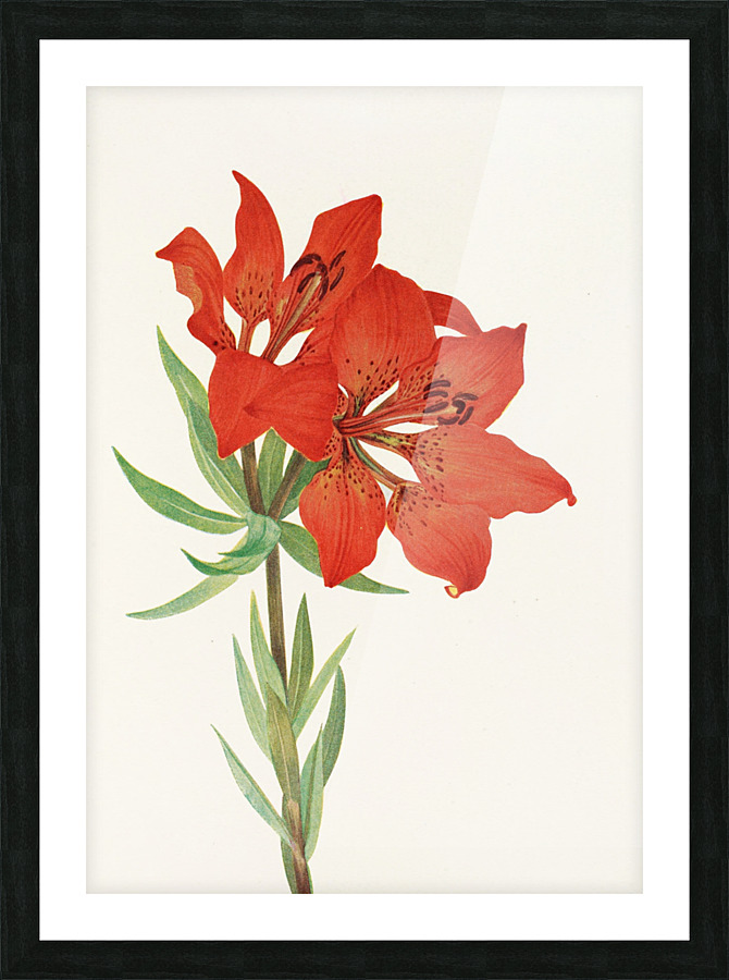  Fine Art print