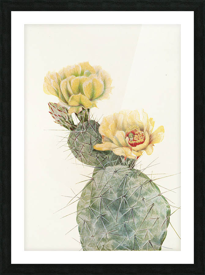  Fine Art print
