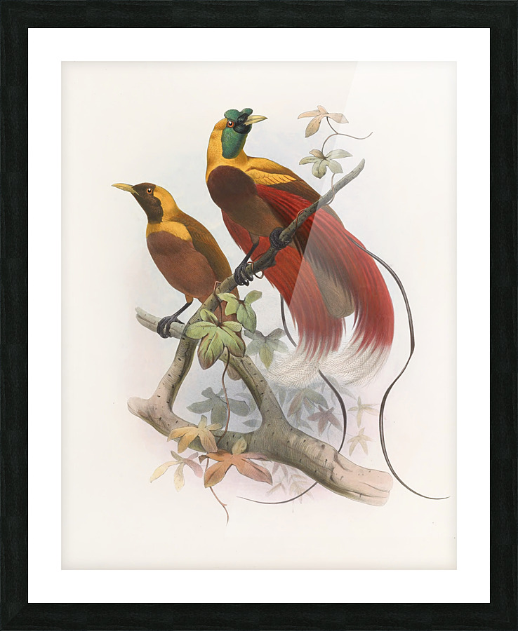  Fine Art print