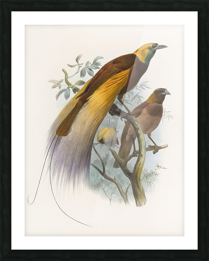  Fine Art print