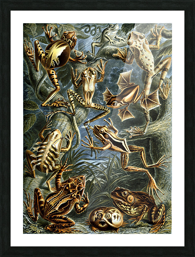  Fine Art print