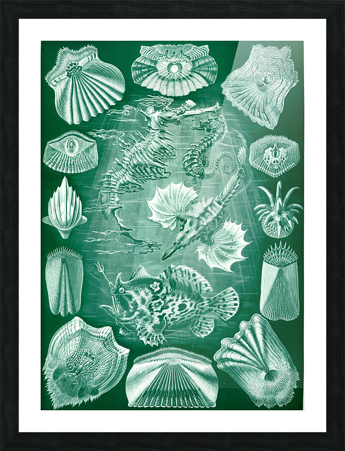  Fine Art print