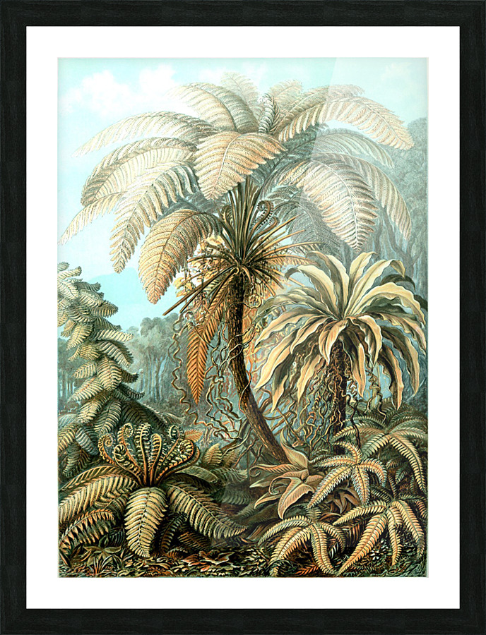  Fine Art print
