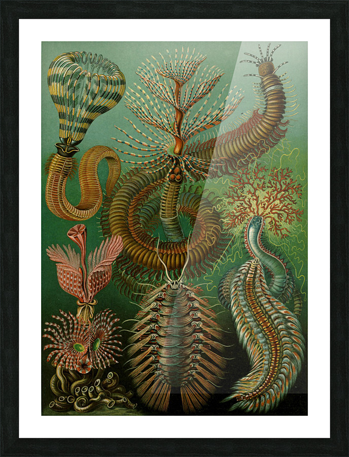  Fine Art print