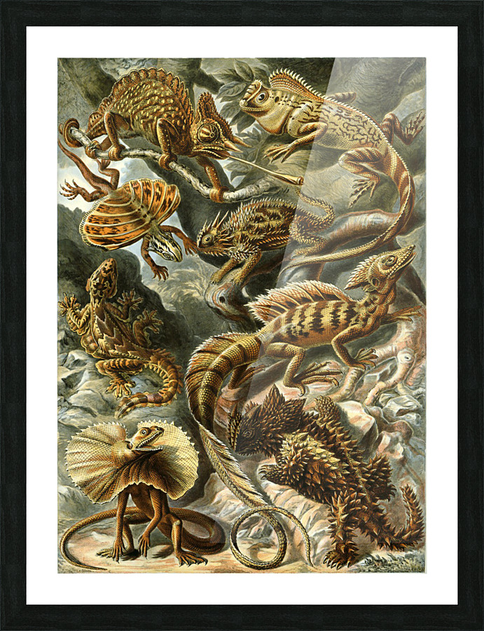  Fine Art print