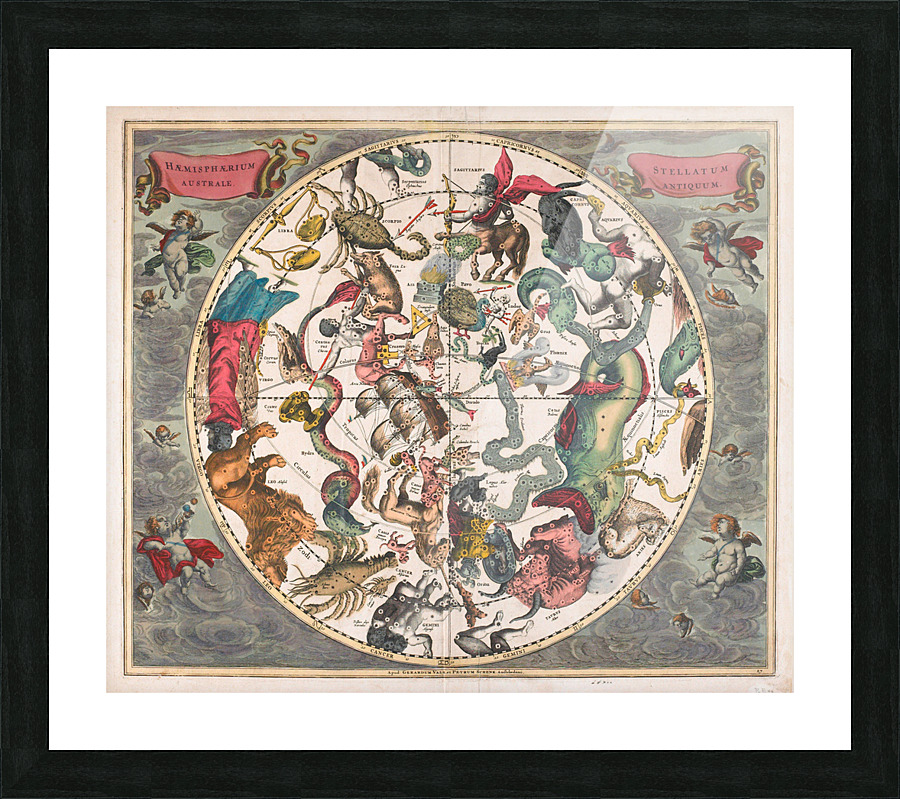 astrology 12 Picture Frame print