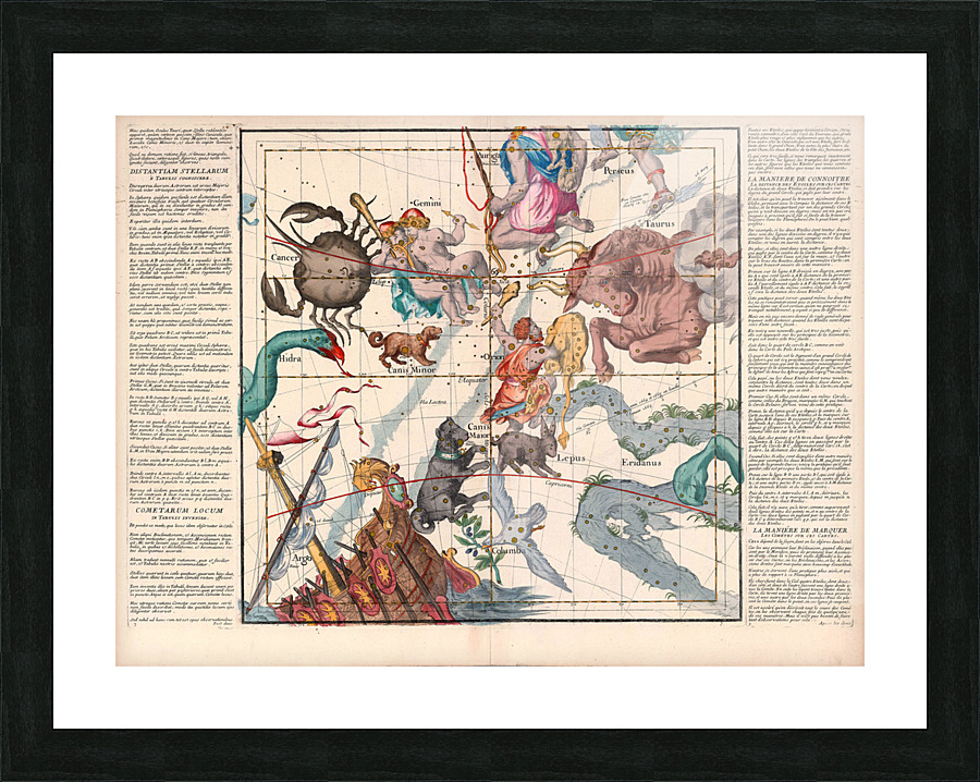 astrology 19 Picture Frame print