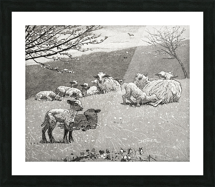  Fine Art print
