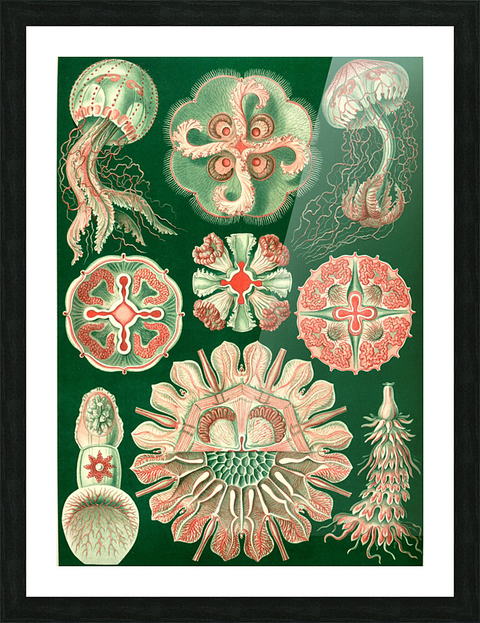  Fine Art print