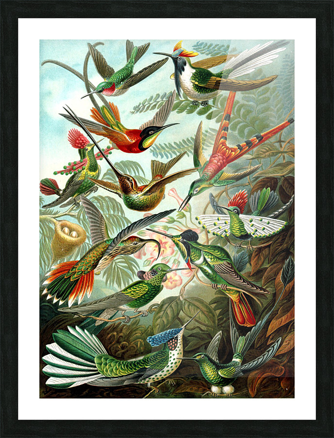  Fine Art print