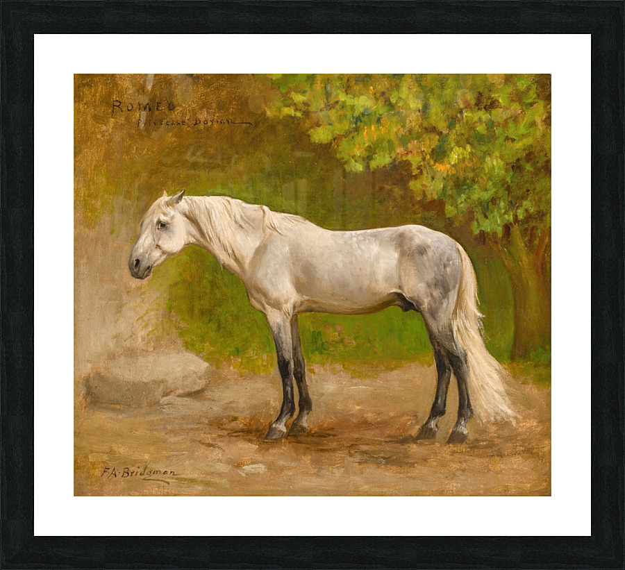  Fine Art print