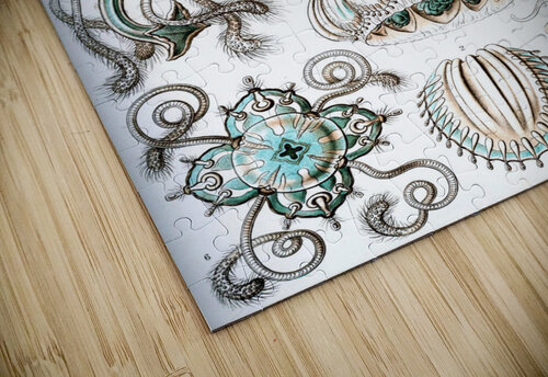 17 haeckel narcomedusae TOPARTGALLERY puzzle