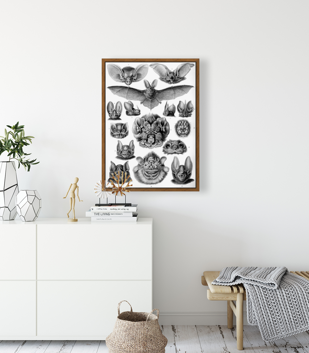 68 haeckel chiroptera Reproduction