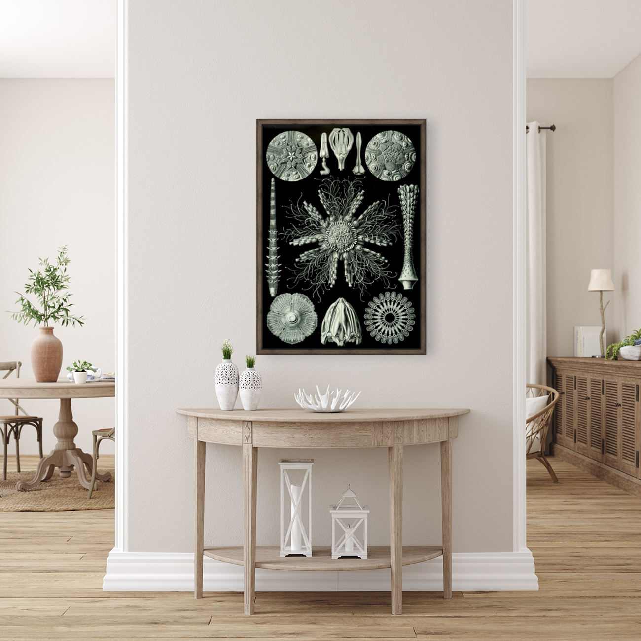 61 haeckel echinidea Reproduction