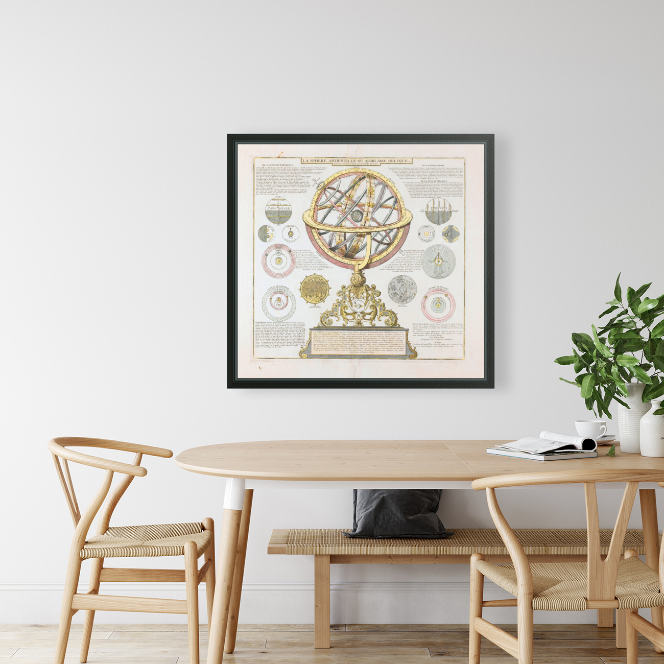 astrology 11 Reproduction