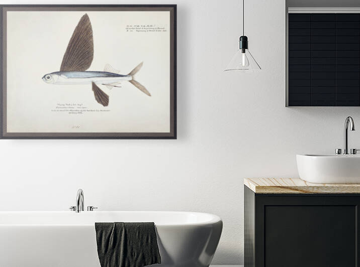 Frank E Clarke Antique Flyfish 1849 1899 by TOPARTGALLERY
