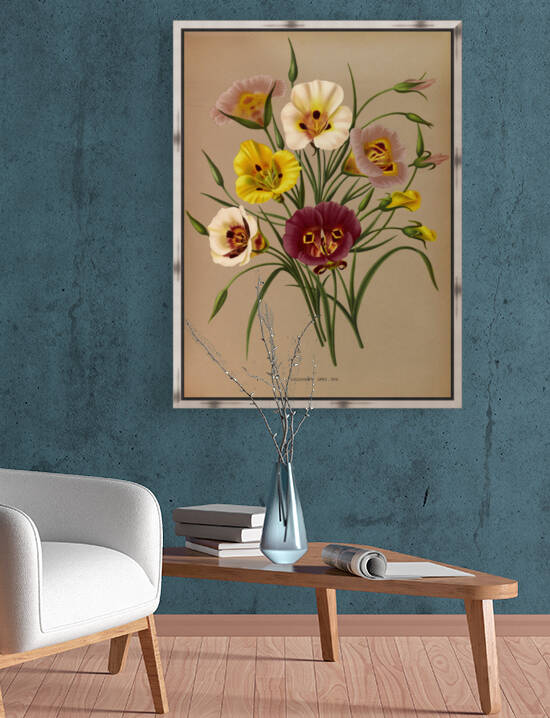 Arentine H Arendsen Calochorti Spec Div 1872 by TOPARTGALLERY