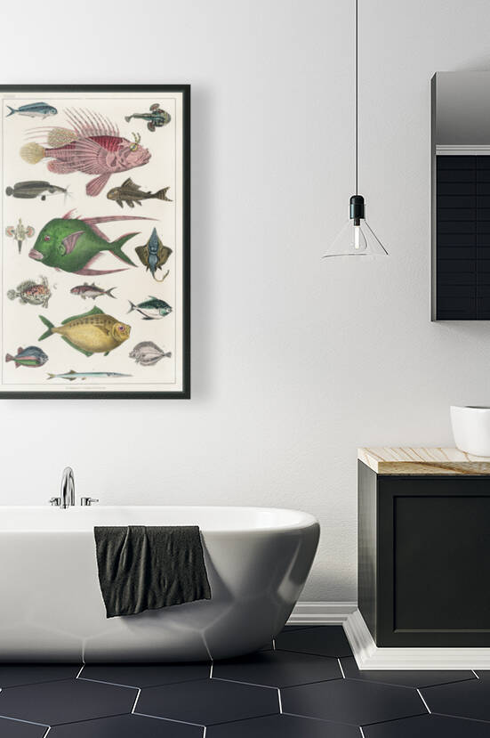 Oliver Goldsmith Collection of various fishes from A history of the earth and animated nature 1820 by TOPARTGALLERY