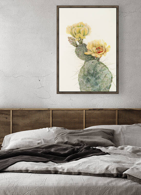 May Vaux Walcott Missouri Pricklypear Opuntia polyacantha 1925 by TOPARTGALLERY