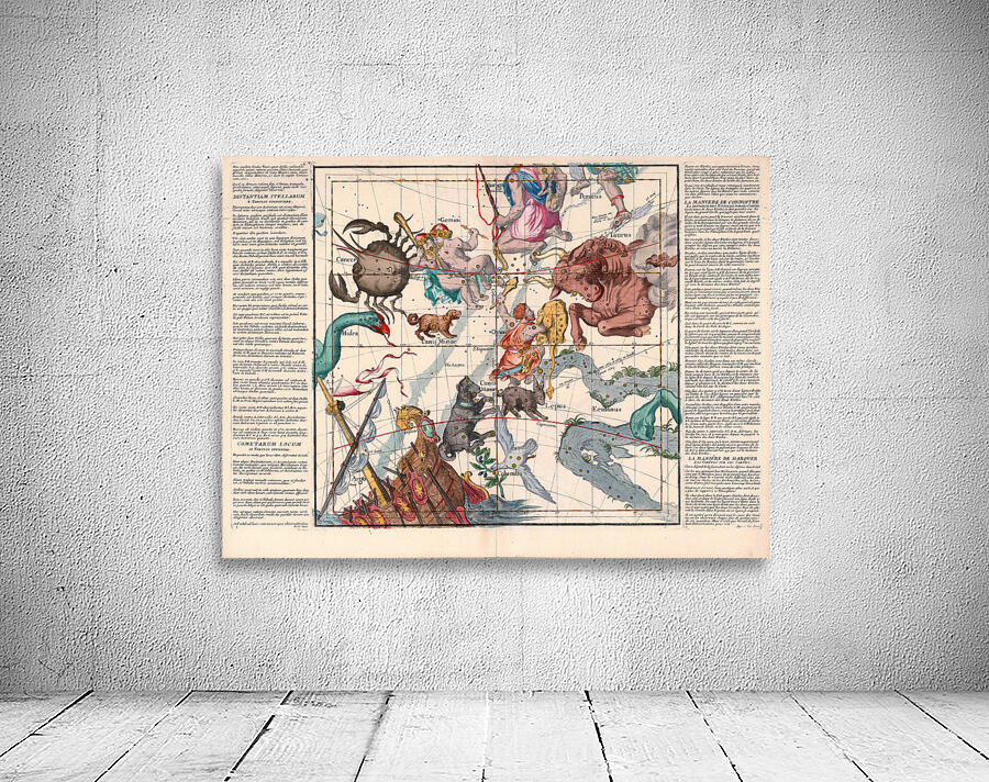 astrology 19 Wall Preview