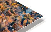 Autumn Glory HD Metal print