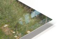 The Post HD Metal print