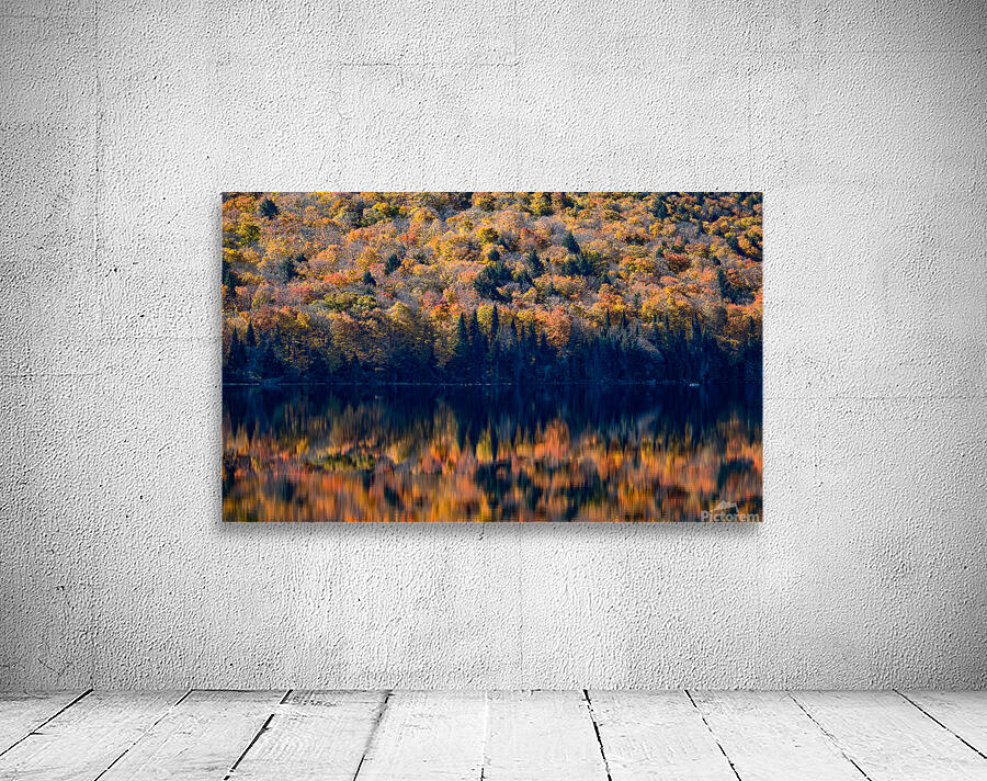 Autumn Glory Wall Preview