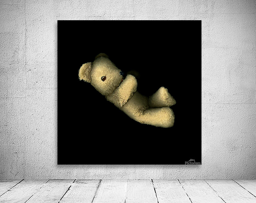 The Bear Wall Preview