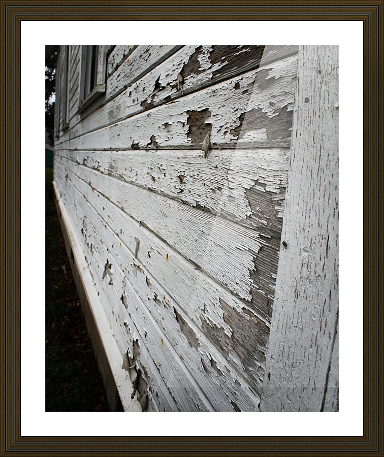 Rot Picture Frame print