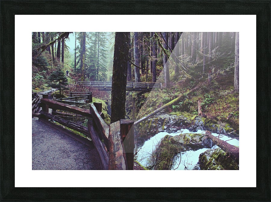 Pathway Picture Frame print