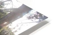 Deception HD Metal print