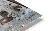 Rot HD Metal print
