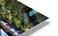 Greenery HD Metal print
