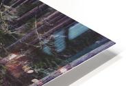 Pathway HD Metal print