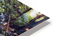 Rock HD Metal print