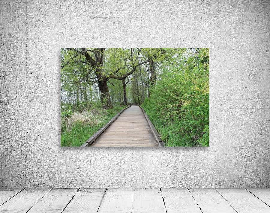 Walk Wall Preview